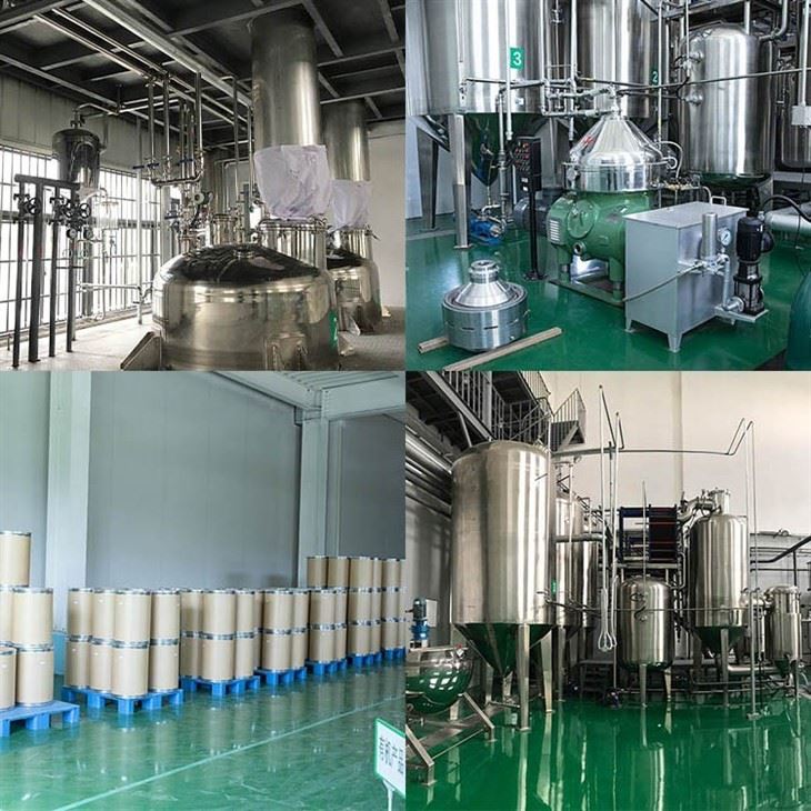Freeze Dried Mango Powder factory